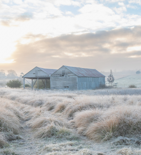 A winter's scene with a frosty field, an old hay shed and a broken windmill - Australian Stock Image