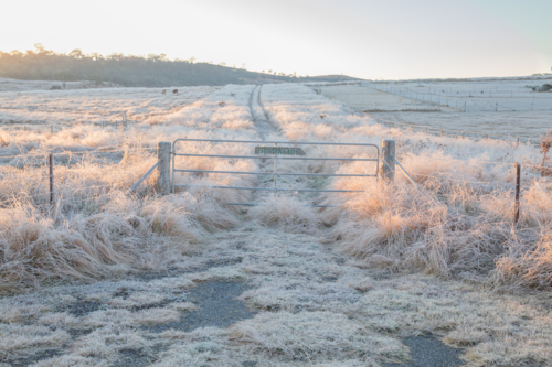 A winter scene with a gate and tracks in a frozen field - Australian Stock Image