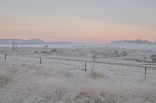 A winter scene with soft dawn skies and frozen icy fields - Australian Stock Image