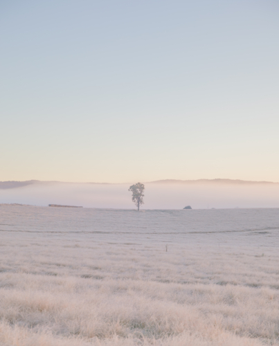 A winter scene with soft dawn skies and frozen icy fields - Australian Stock Image