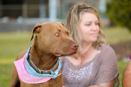A woman and her dog sitting on the grass in the park - Australian Stock Image