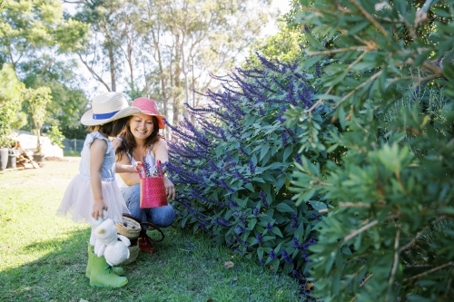 A woman and toddler girl playing in the backyard garden - Australian Stock Image