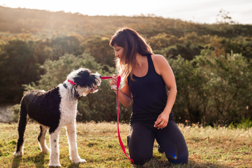 A woman kneels to interact with two playful dogs while enjoying a sunny day outdoors - Australian Stock Image
