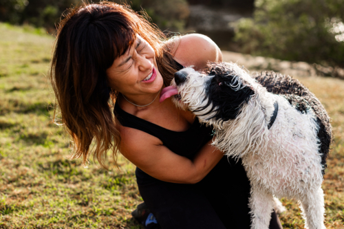 A woman laughs as her wet dog playfully licks her face in the grass on a sunny day - Australian Stock Image