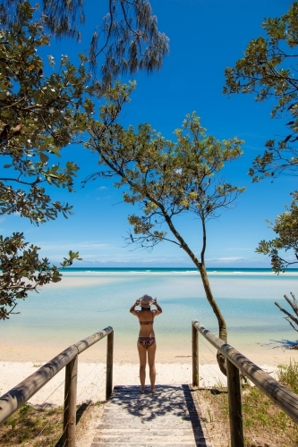 A woman stands at the end of path under a tree before a deserted sunny beach.