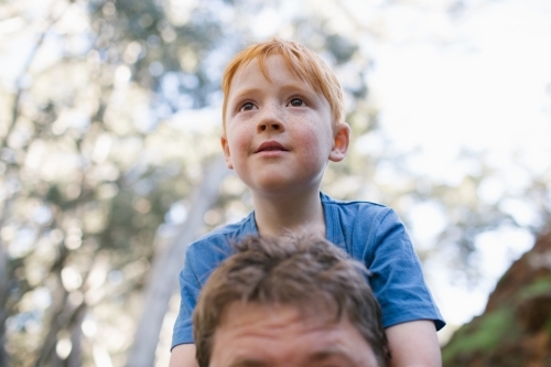 A young boy sitting on his fathers shoulders in the bush