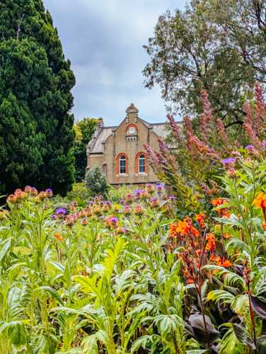 Abbotsford Convent on a hot summer's day in Melbourne - Australian Stock Image