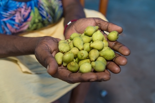Aboriginal holding Kakadu Plums - Australian Stock Image