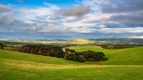 Adelaide Hills green farmlands during winter season - Australian Stock Image