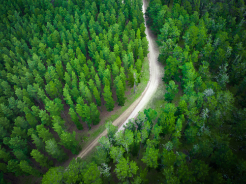 Adelaide Hills Landscape with dirt trail through trees - Australian Stock Image