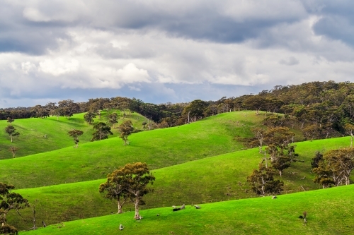 Adelaide Hills vista landscape in winter season. - Australian Stock Image