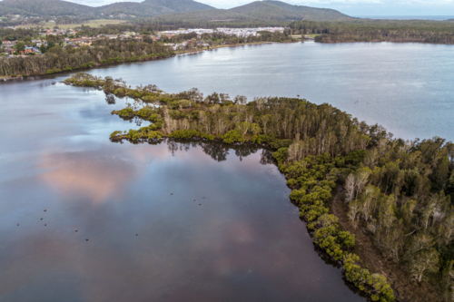Aerial drone view of a small tree covered island surrounded by the calm waters of Wallis Lake. - Australian Stock Image