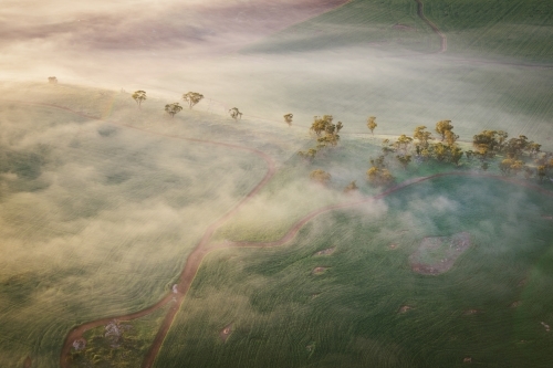 Aerial farm landscape in the Avon Valley in Western Australia - Australian Stock Image