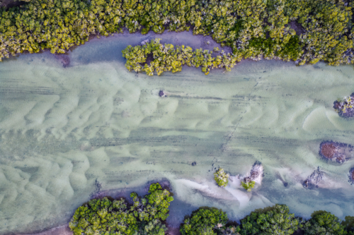 Aerial image capturing a river in Tuncurry at low tide, revealing intricate natural patterns - Australian Stock Image