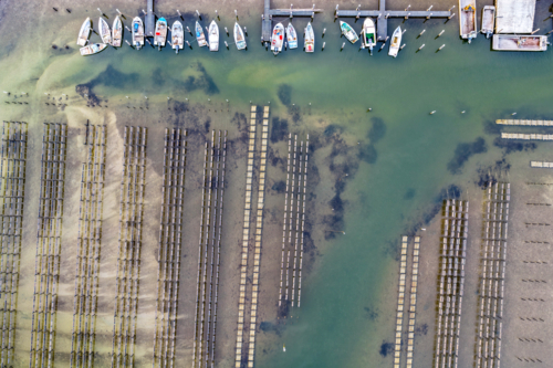 Aerial image capturing an oyster lease in Tuncurry with boats moored at a wooden jetty - Australian Stock Image