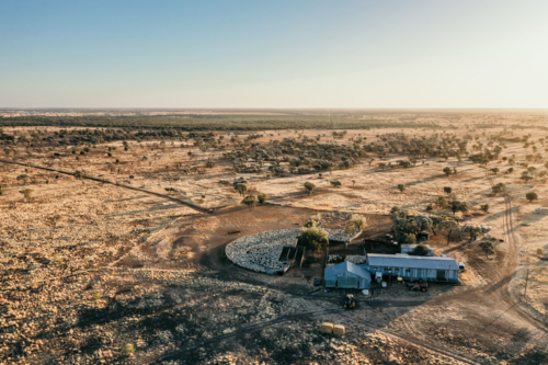 Aerial image of a farmland with sparse trees and farmhouse - Australian Stock Image