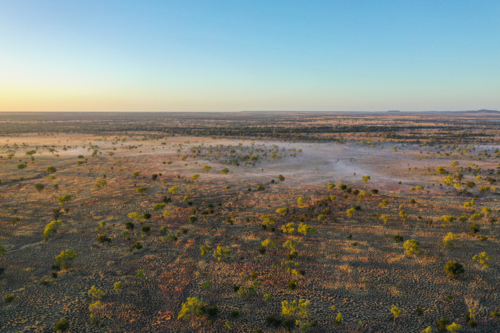 Aerial image of a farmland with sparse trees - Australian Stock Image
