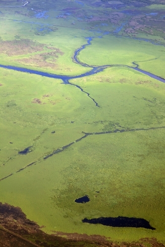 Aerial image of green wetlands - Australian Stock Image