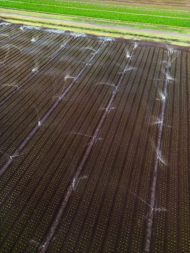 Aerial image of the rich brown earth in the agricultural area of Gatton, Queensland - Australian Stock Image