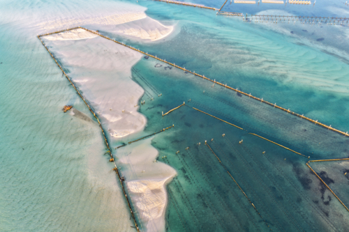 Aerial image showcasing the bright turquoise waters of Wallis Lake at low tide with patterns in sand - Australian Stock Image