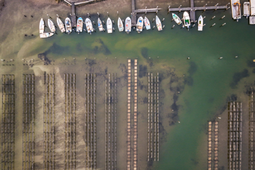 aerial image showcasing the oyster lease patterns in Wallis Lake, with neat farming rows visible - Australian Stock Image