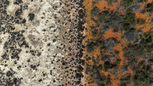 Aerial of clay pan meeting dry ashland in remote national park - Australian Stock Image