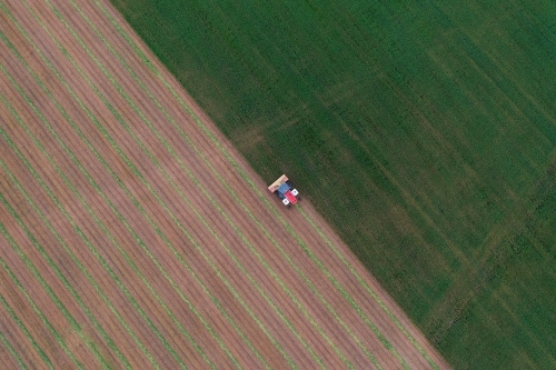 Aerial of hay cutter cutting oat crop into windrows - Australian Stock Image
