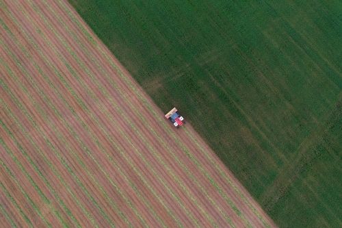 Aerial of hay cutter cutting oat crop into windrows
