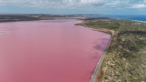 Aerial of pink lake next to road - Australian Stock Image