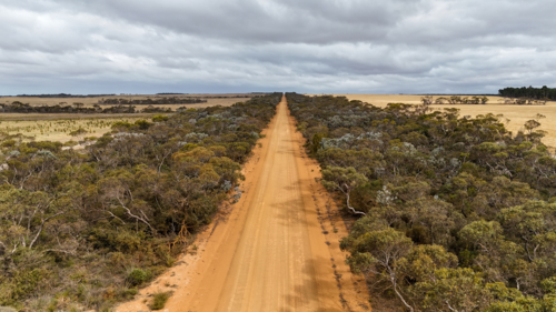 Aerial of straight dirt road cutting through trees and farming land on a cloudy day - Australian Stock Image