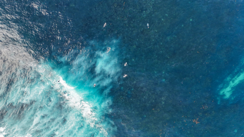 Aerial of surfers out in the water above the reef - Australian Stock Image