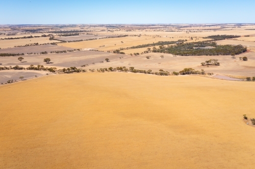 aerial photo of farmland with golden ripe cereal crop in foreground - Australian Stock Image