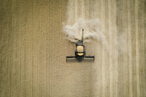 Aerial photo of harvester harvesting cereal crop in the Wheatbelt of Western Australia