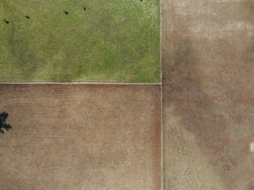 Aerial shot of a farm paddock divided into smaller paddocks - Australian Stock Image