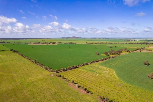 aerial shot of a green field on a sunny day - Australian Stock Image