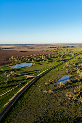 Aerial vertical scene showcasing cultivated farmland with a rural dirt road connecting - Australian Stock Image