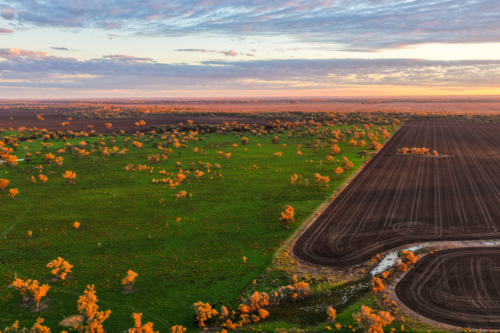 Aerial view capturing warm sunshine over cultivated fields surrounded by lush green countryside - Australian Stock Image