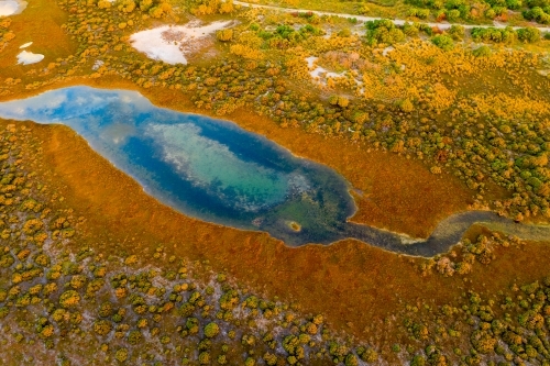 Aerial view of a coastal lagoon surrounded by scrub