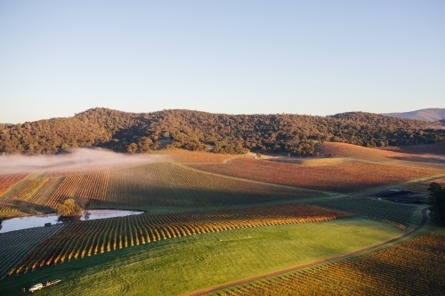 Aerial view of a farmland with multiple fields that has shades of green and yellow suggesting autumn - Australian Stock Image