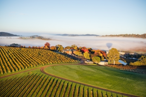 Aerial view of a farmland with multiple fields that has shades of green and yellow suggesting autumn - Australian Stock Image