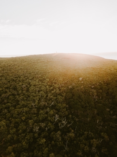 Aerial view of a hill covered in trees at sunset - Australian Stock Image