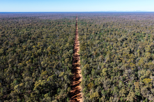 Aerial view of a long straight dirt road stretching through the Pilliga Forest towards the horizon - Australian Stock Image