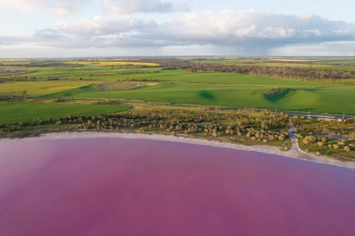 Aerial view of a natural phenomenon of a pink lake. - Australian Stock Image