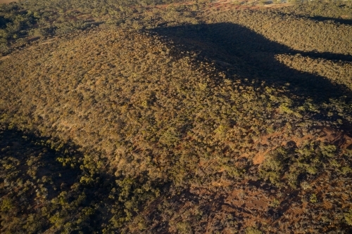 Aerial view of a patch of Australian bush on a hill in the evening sunlight. - Australian Stock Image