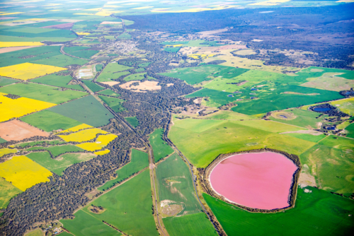 Aerial view of a pink salt lake surrounded by farmland and patchwork fields - Australian Stock Image