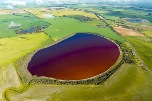 Aerial view of a red-hued salt lake surrounded by lush green farmland. - Australian Stock Image
