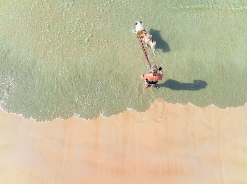 Aerial view of a woman playing with her pet dog in small waves on a beach
