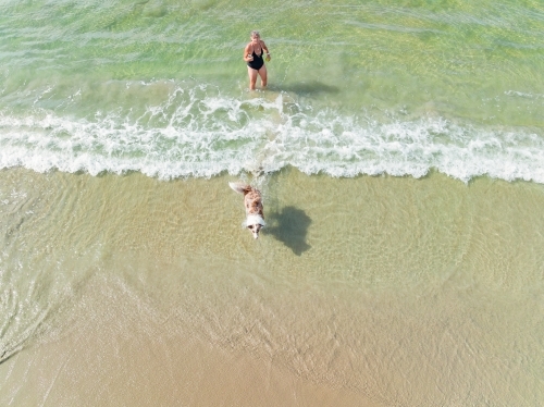 Aerial view of a woman playing with her pet dog in small waves on a beach