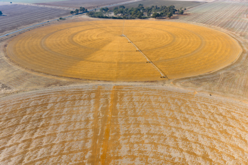 Aerial view of an irrigation sprinkler on a dry circular crop - Australian Stock Image