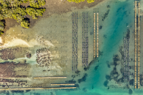 Aerial view of an oyster lease in Tuncurry, showing neatly arranged structures - Australian Stock Image